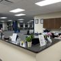 Professional Physical Therapy