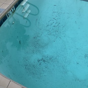 Holiday Inn Express & Suites Corning - Pool is really dirty. - Hotels Near Me - Corning, California