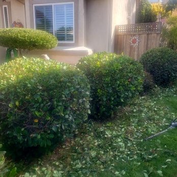 Valley Tree Service - Tree Services Near Me Valley Tree Service - Tree Services Near Me