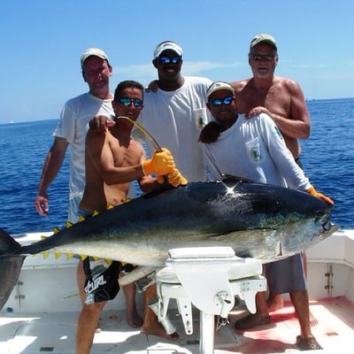 Photo of Costa Rica Sport Fishing Tours - Herradura, CA, United States