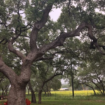 Napa Collection - Wineries Near Me - Johnson City, Texas Napa Collection - Wineries Near Me - Johnson City, Texas