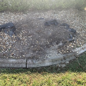 Triple D Services - Damaged Rocks - Tree Services Near Me - Umatilla, Florida