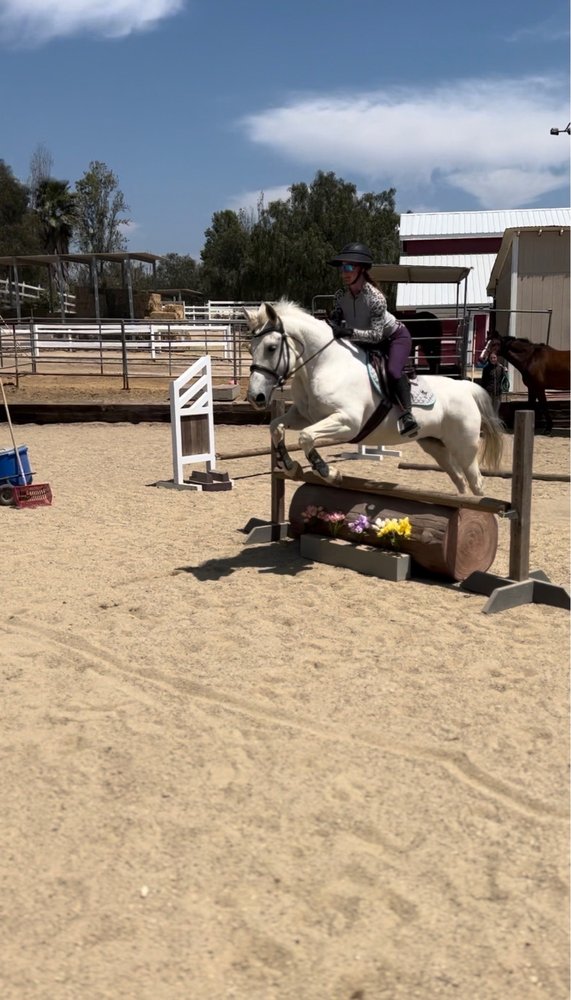 Silver Lining Stables Logo