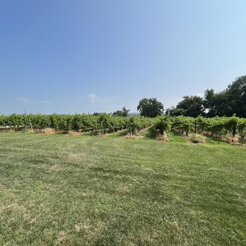 Johnson Estate Winery - Vineyard - Wineries Near Me - Westfield, New York Johnson Estate Winery - Vineyard - Wineries Near Me - Westfield, New York
