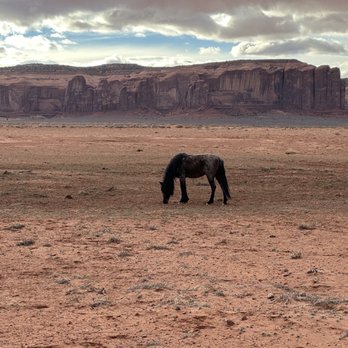 Monument Valley Tribal Tours - Tours Near Me Monument Valley Tribal Tours - Tours Near Me