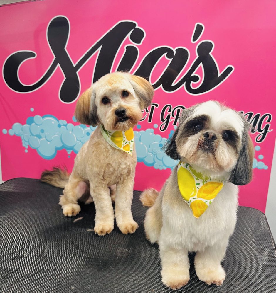 MIA’S PET GROOMING Updated August 2024 85 Photos