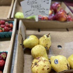 Wilkins Farm Stand & Florist