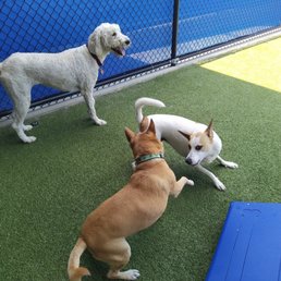 Action shot!
