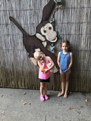 Idlewild & SoakZone by null