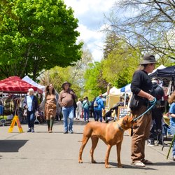 Whiteaker Community Market - Pets are welcome!