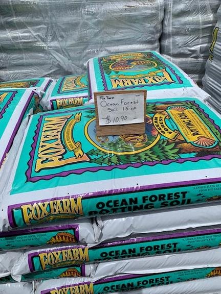 Slide of Think Alves