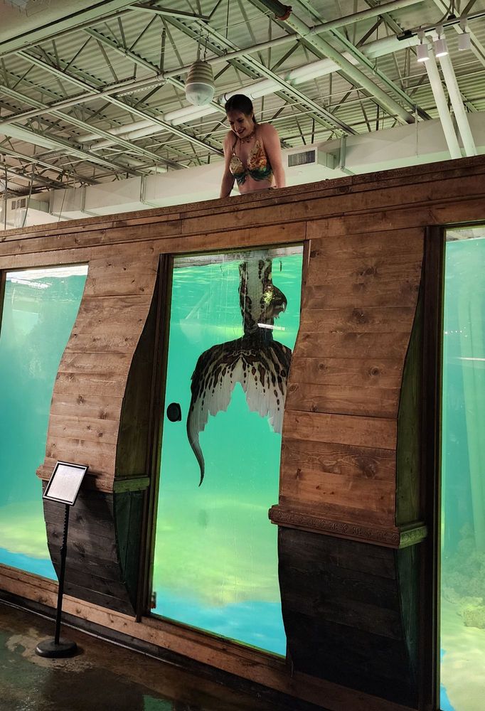 JUNGLE REEF Updated August 2024 11 Reviews 750 Sunland Park Dr