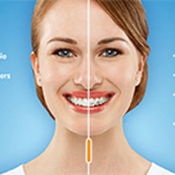 The Dental Group