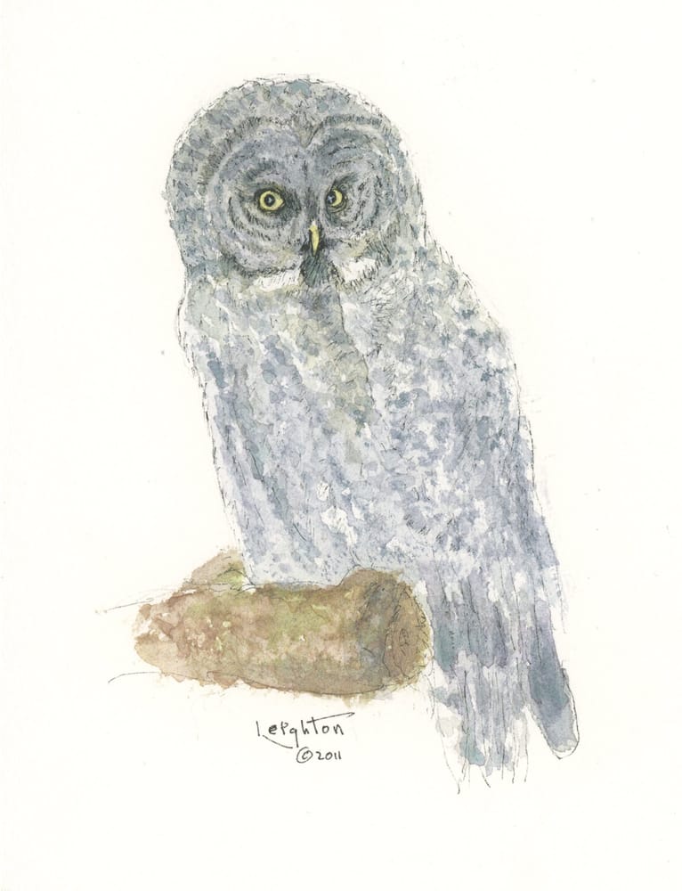 GREY OWL FRAMING Updated August 2024 3465 S Otis Ct, Lakewood