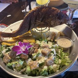 Red Snapper / Pargo Rojo