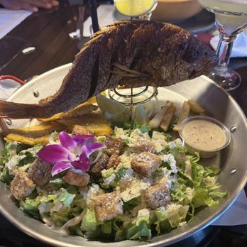 Tainos Cafe & Lounge - Whole Red Snapper / Pargo Rojo ( pescado) - Latin American Near Me - Coram, New York Tainos Cafe & Lounge - Whole Red Snapper / Pargo Rojo ( pescado) - Latin American Near Me - Coram, New York