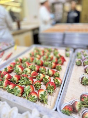 Candy Palace and Candy Kitchen by null