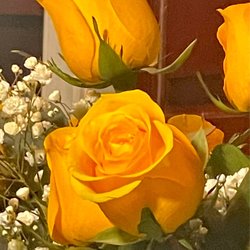 Rambling Rose Florist