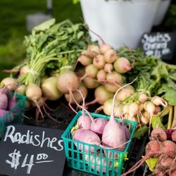 SFC Farmers' Market Downtown - Radishes on sale at our Farmer's Market
