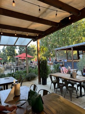 Napa Yard - Oxbow Gardens by null