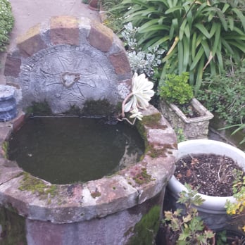 The Sword and Rose - Fountain - Supernatural Readings Near Me - San Francisco, California