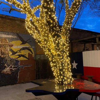Elm St Saloon - a tree decorated with christmas lights - Dive Bars Near Me - Dallas, Texas