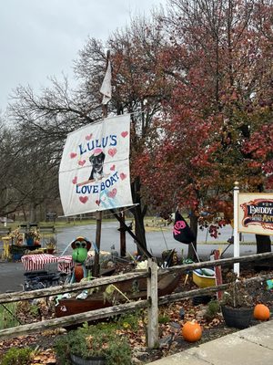 Buddylou's Eats Drinks & Antiques by null