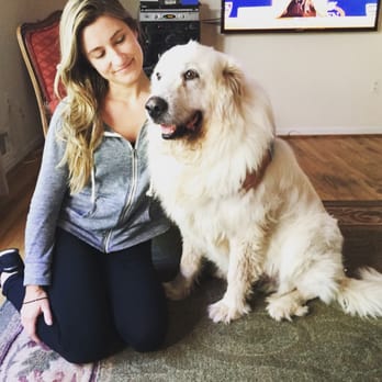 Cornerstone Pets - Pet Stores Near Me - Hoboken, New Jersey
