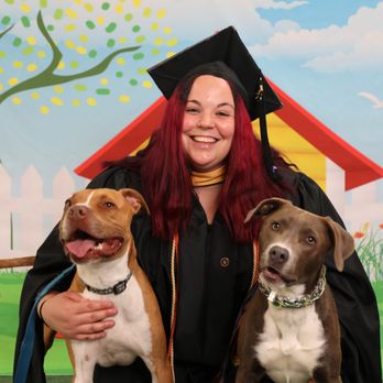 Abby's Dog Daycare - Paws & Portraits at Abby's Dog Daycare! - Pet Training Near Me - Chelmsford, Massachusetts Abby's Dog Daycare - Paws & Portraits at Abby's Dog Daycare! - Pet Training Near Me - Chelmsford, Massachusetts