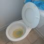 Photo of Angelica's Clean House