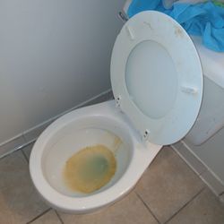 Angelica's Clean House