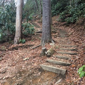 Gorges State Park - Stairs along the trail - Parks Near Me - Sapphire, North Carolina Gorges State Park - Stairs along the trail - Parks Near Me - Sapphire, North Carolina
