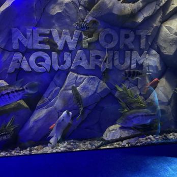 Newport Aquarium - Sign - Aquariums Near Me - Newport, Kentucky