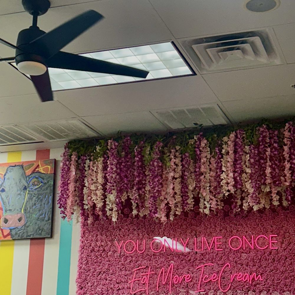 YOLO Rolled Ice Cream - Ice Cream & Frozen Yogurt Near Me - Branson, Missouri YOLO Rolled Ice Cream - Ice Cream & Frozen Yogurt Near Me - Branson, Missouri