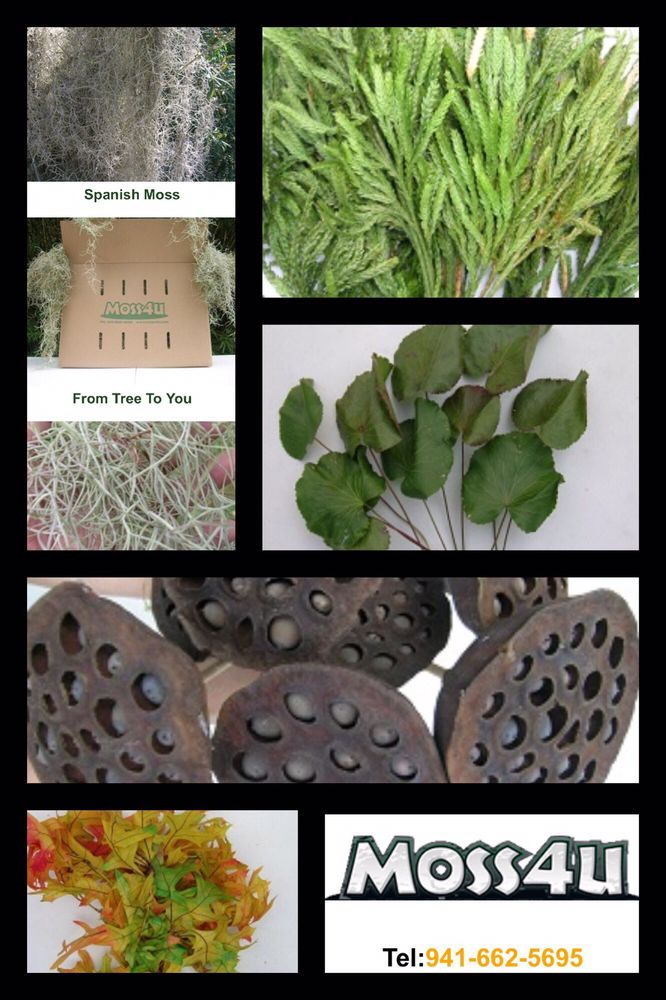 MOSS4U 1492 Keyway Rd, Englewood, Florida Nurseries & Gardening Phone Number Yelp