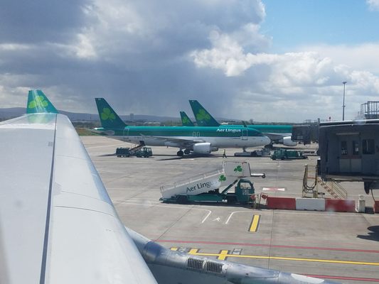 Aer Lingus by null