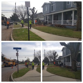 Jimmie's Tree Service - Tree Services Near Me Jimmie's Tree Service - Tree Services Near Me