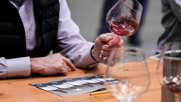 DuMOL Winery by null