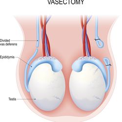 Nadeem Rahman, MD