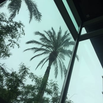 Urban Yoga - Fave view. Love this studio - Yoga Near Me - Phoenix, Arizona