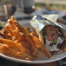 Gyro