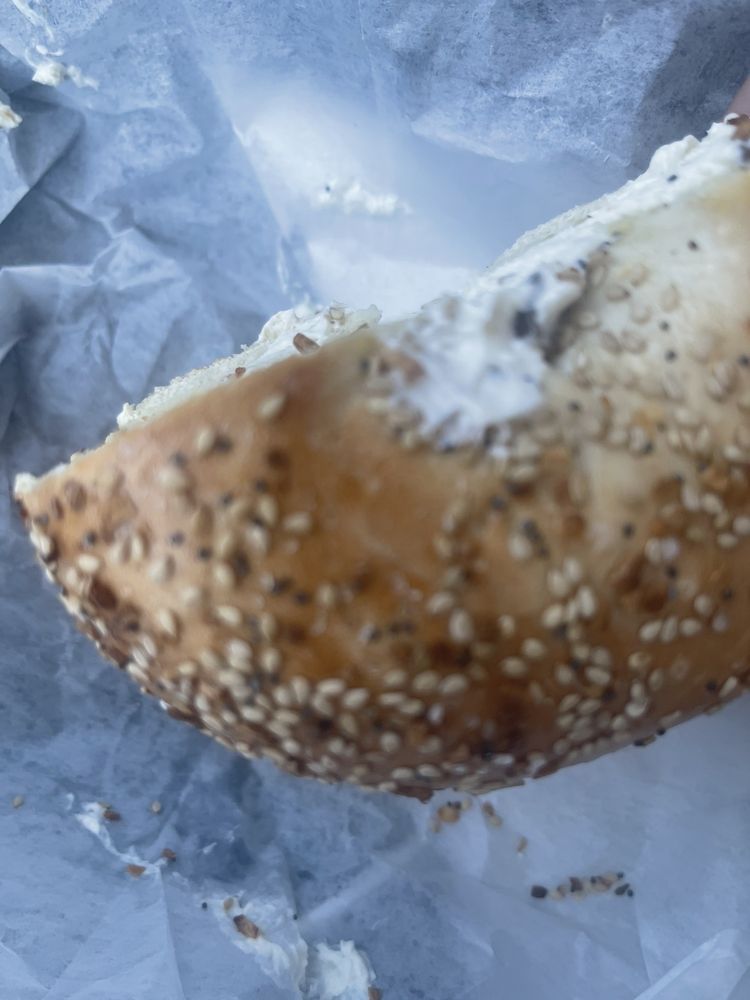 SEA CLIFF BAGEL CAFE Updated September 2024 26 Photos & 48 Reviews
