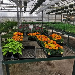 River Nursery & Garden Centre