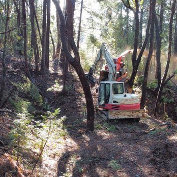 Kingsley Grinding - Tree Services Near Me Kingsley Grinding - Tree Services Near Me