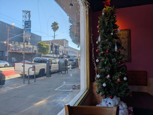 Mission Curry House by null