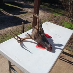 End Of The Road Deer Processing