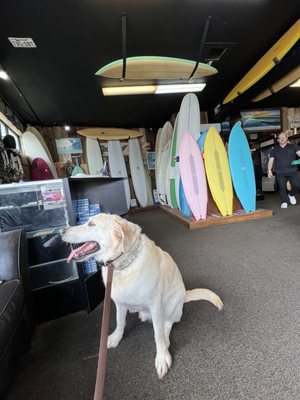 良USED品!RUSSELL×JOHN'S SURF ショールカラーカーディガン Russell Surfboards \u2013 Icons of Surf