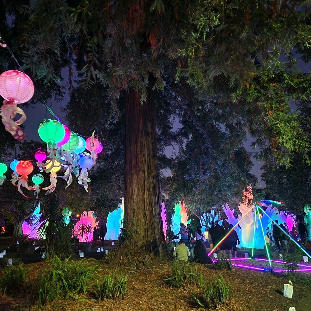 TOP 10 BEST Halloween Events near Tiburon, CA - Updated 2026 - Yelp