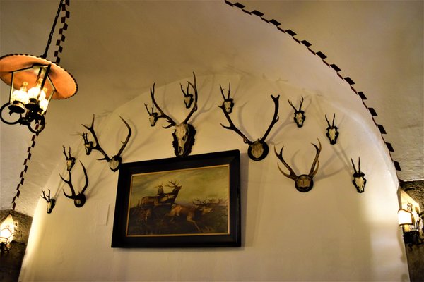 Ratsstube by null