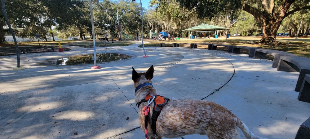 Losco Regional Park Image